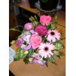 神奈川県川崎市麻生区花やすの花　ぷりてぃーぴんく