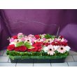 神奈川県川崎市麻生区花やすの花　ウッドボックスアレンジ