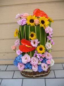 マイブーム？？？｜「花やす」　（神奈川県川崎市麻生区の花キューピット加盟店 花屋）のブログ